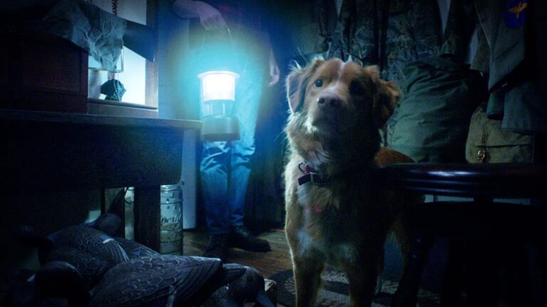 O terror que fez as buscas por ‘o cachorro morre no final?’ crescerem 2000%