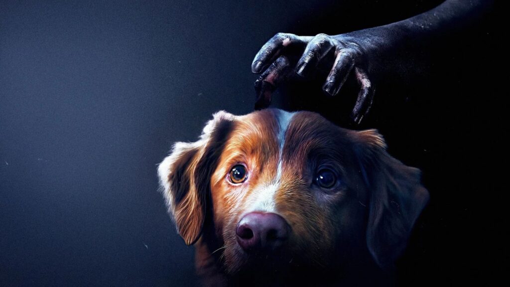 Bom Menino, terror na perspectiva de um cachorro, estreia nos cinemas