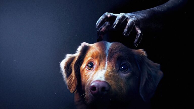 Bom Menino, terror na perspectiva de um cachorro, estreia nos cinemas