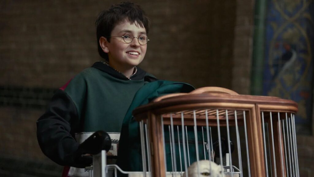 Segunda temporada de série de Harry Potter já está sendo escrita, diz CEO da HBO