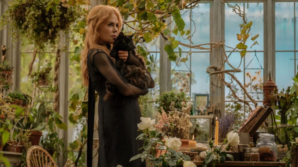 Da Magia à Sedução 2, com Nicole Kidman e Sandra Bullock, ganha trailer