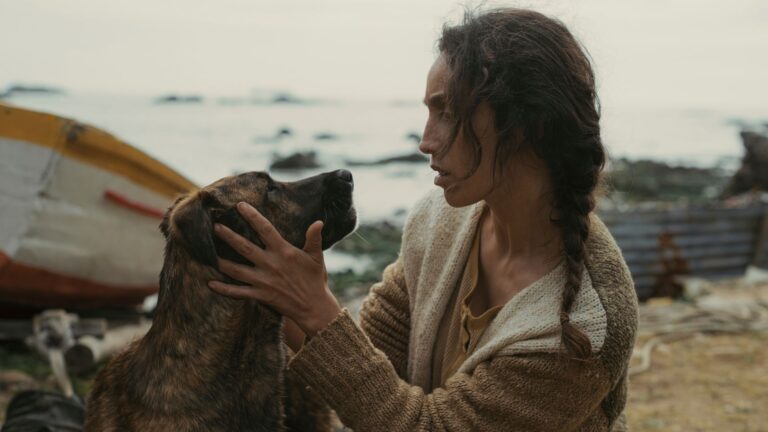 Cadela de filme estrelado por Selton Mello vence a Palm Dog no Festival de Cannes