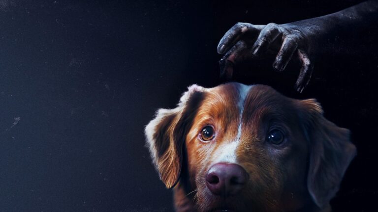 Bom Menino, terror que preocupou os adoradores de cachorros, estreia no streaming