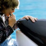 Free Willy ganhará spin-off com produção dos irmãos Russo, diz site