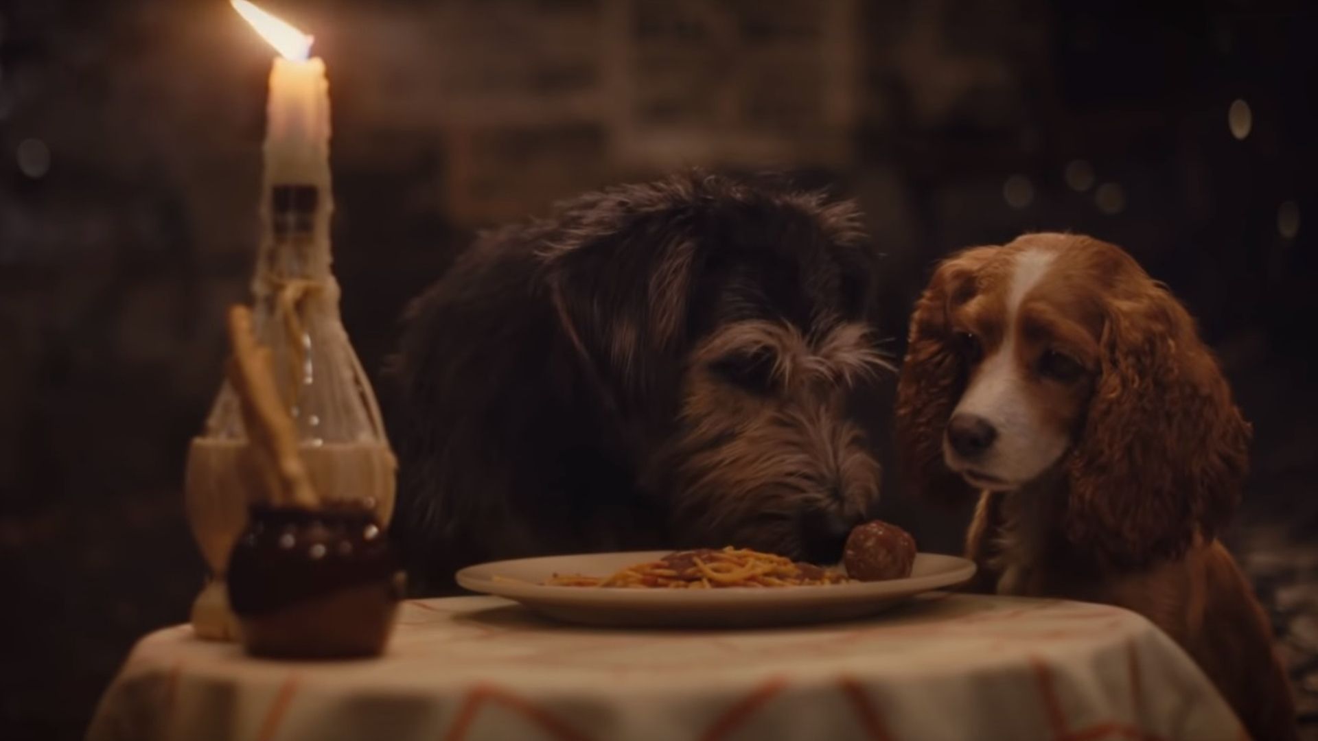 A Dama e o Vagabundo: clássica cena do espaguete é recriada em novo trailer do live-action