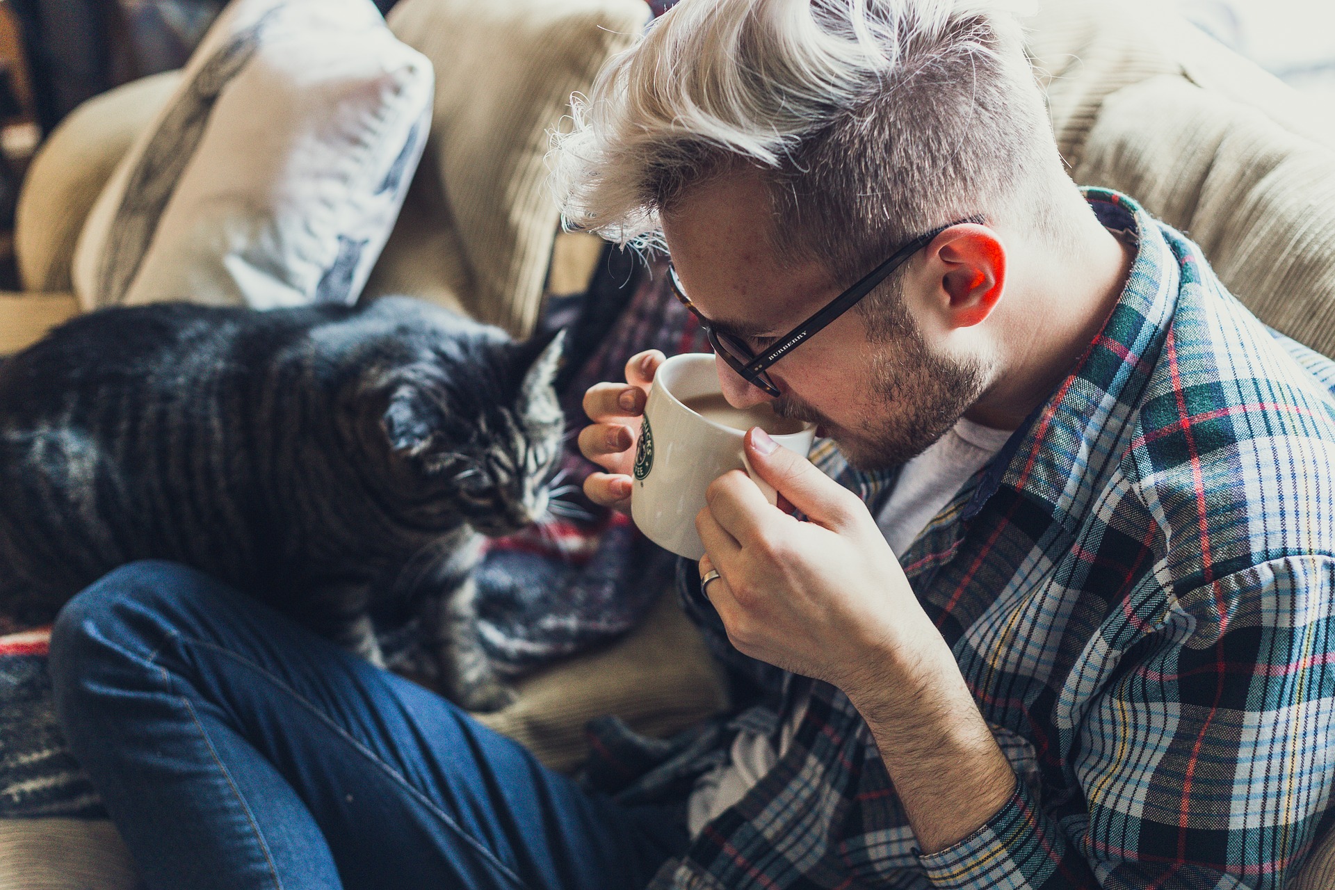 Homens que posam com gatos em aplicativos de paquera são vistos como menos atraentes, revela estudo