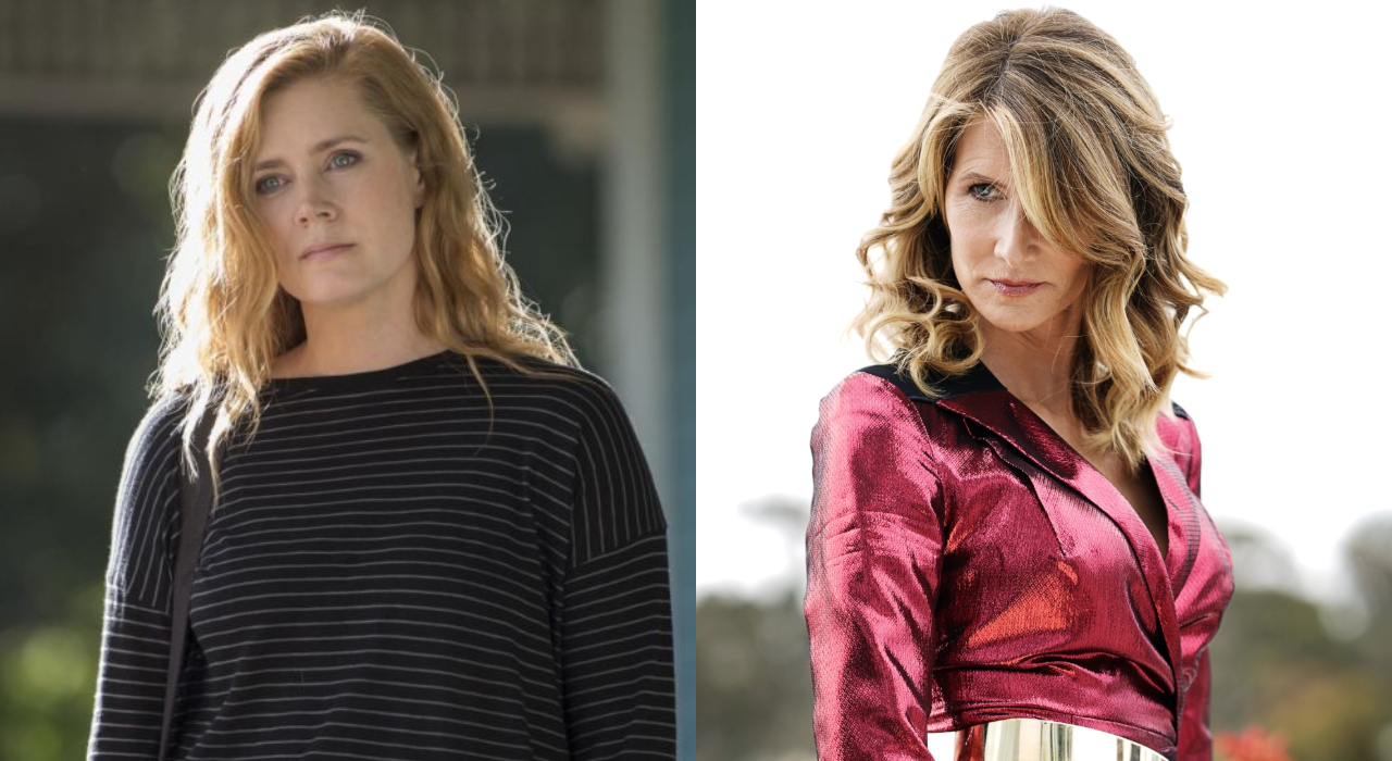 Amy Adams se junta a Laura Dern em produção de nova série de drama para HBO