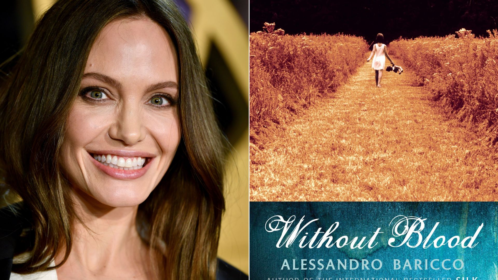 Angelina Jolie vai escrever e dirigir adaptação de “Without Blood”