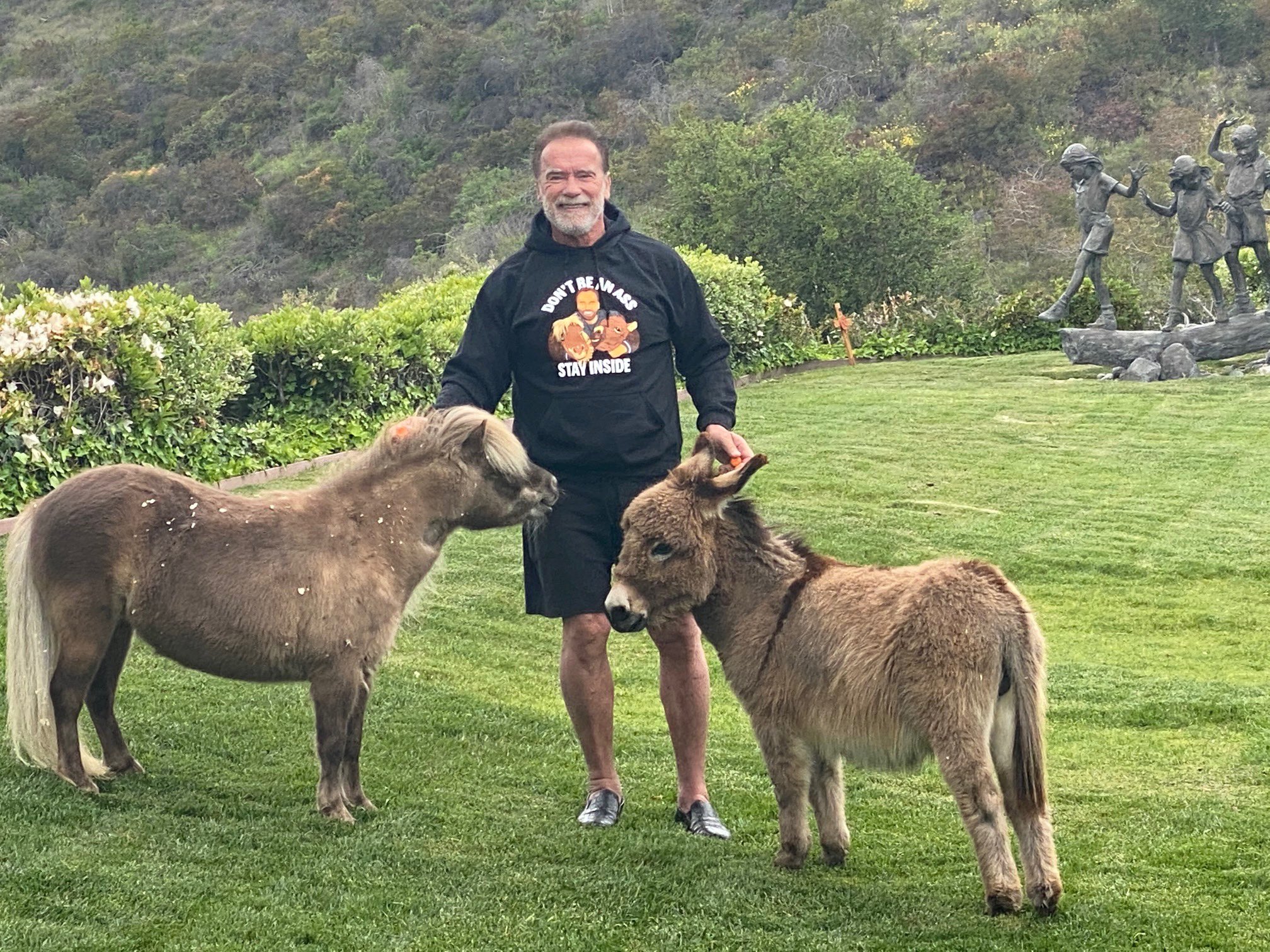 Arnold Schwarzenegger comemora aniversário de burro de estimação com vídeo nas redes