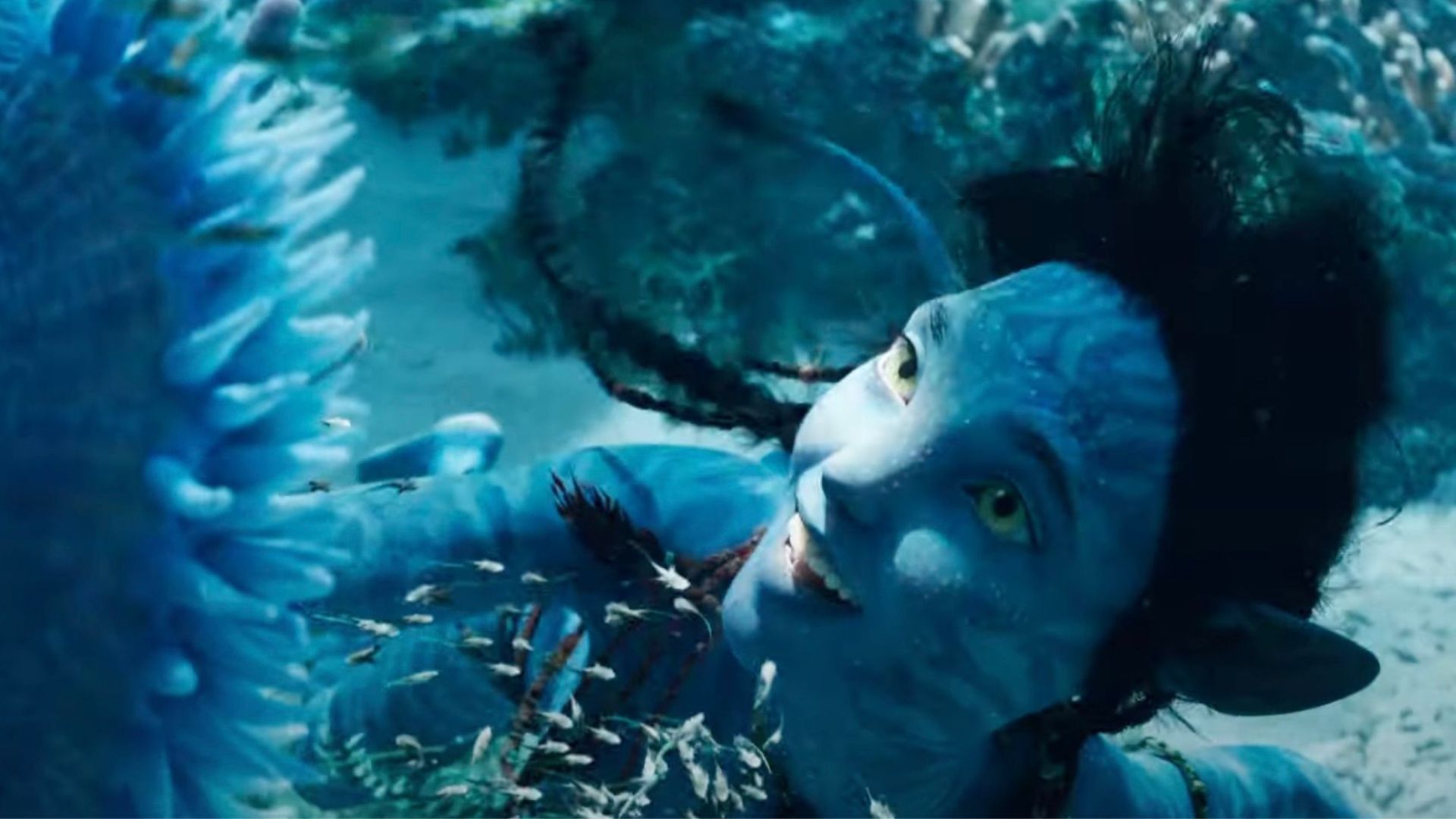 “Avatar 2” lidera bilheterias americanas e fatura R$ 2,3 bilhões mundialmente