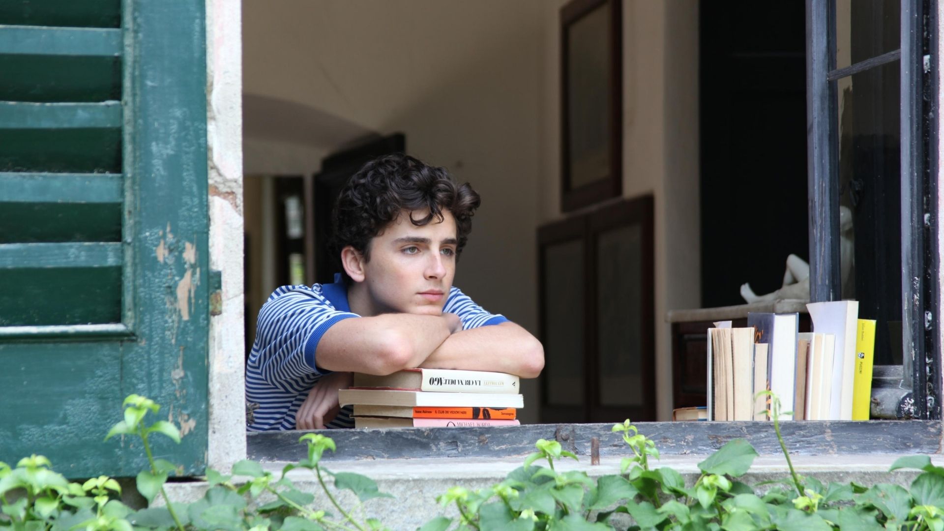 “Bones and All”, novo filme de Luca Guadagnino com Timothée Chalamet, ganha imagem oficial