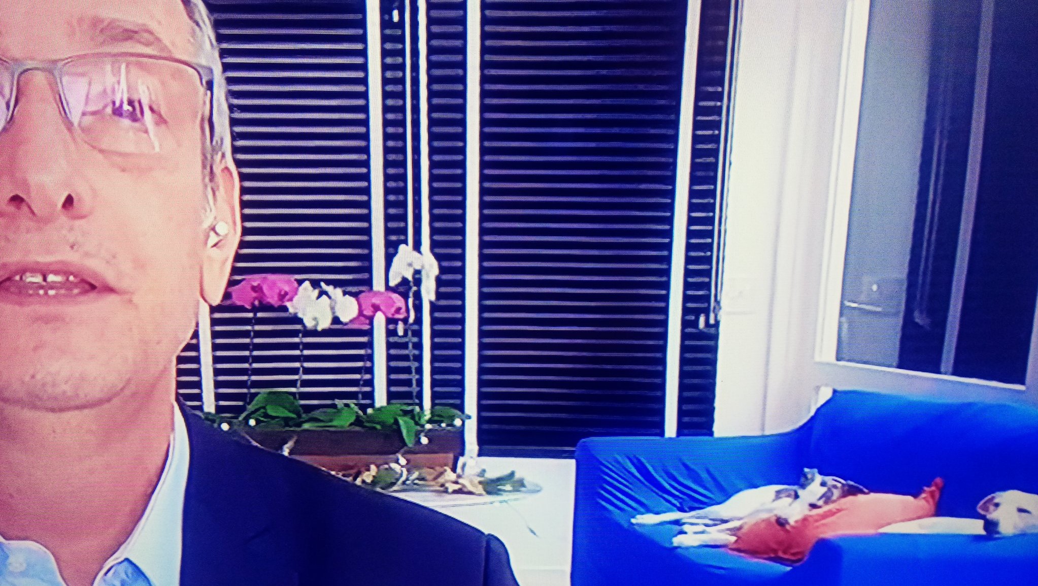 Cachorras de Roberto Burnier chamam atenção em entrada ao vivo no Globo News