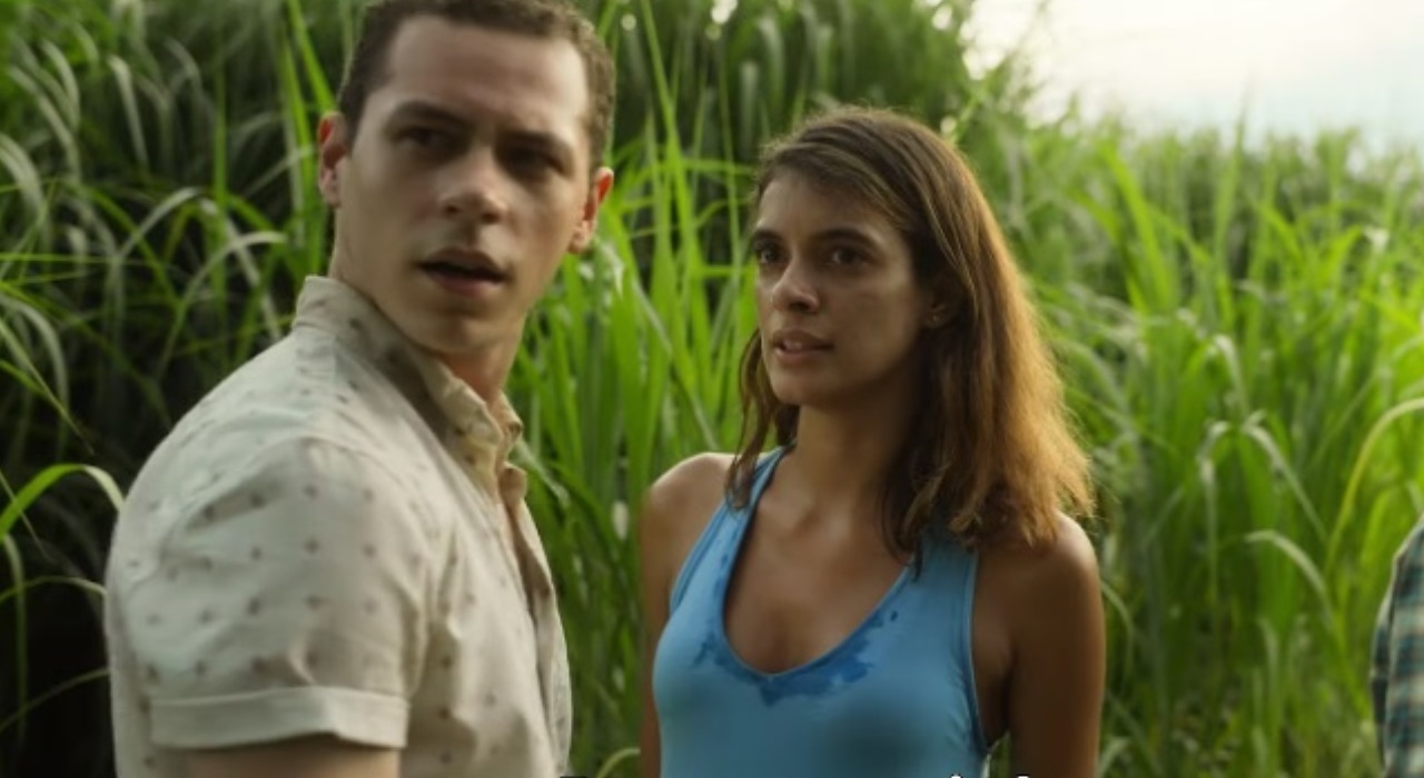 Campo do Medo: Filme do livro de Stephen King ganha trailer da Netflix cheio de suspense