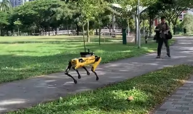 Cão-robô espanta pessoas que não respeitam o distanciamento social