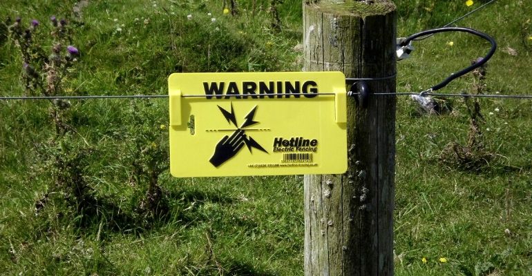 Bar instala cercas elétricas para separar clientes durante a pandemia de coronavírus