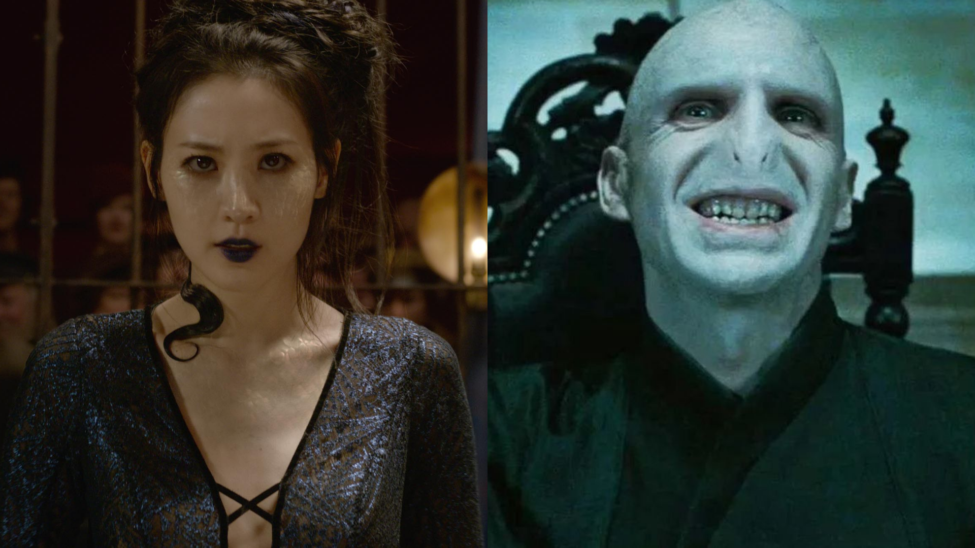 “Animais Fantásticos 3”: Como Nagini se juntou a Voldemort e por que ela confia tanto nele?