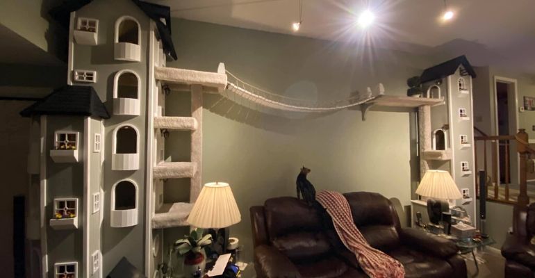 Homem cria castelo para gatos de estimação na sala de casa