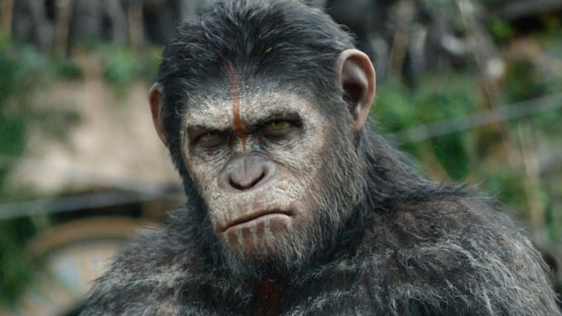 Detalhes do novo “Planeta dos Macacos” revelam o legado de César; confira