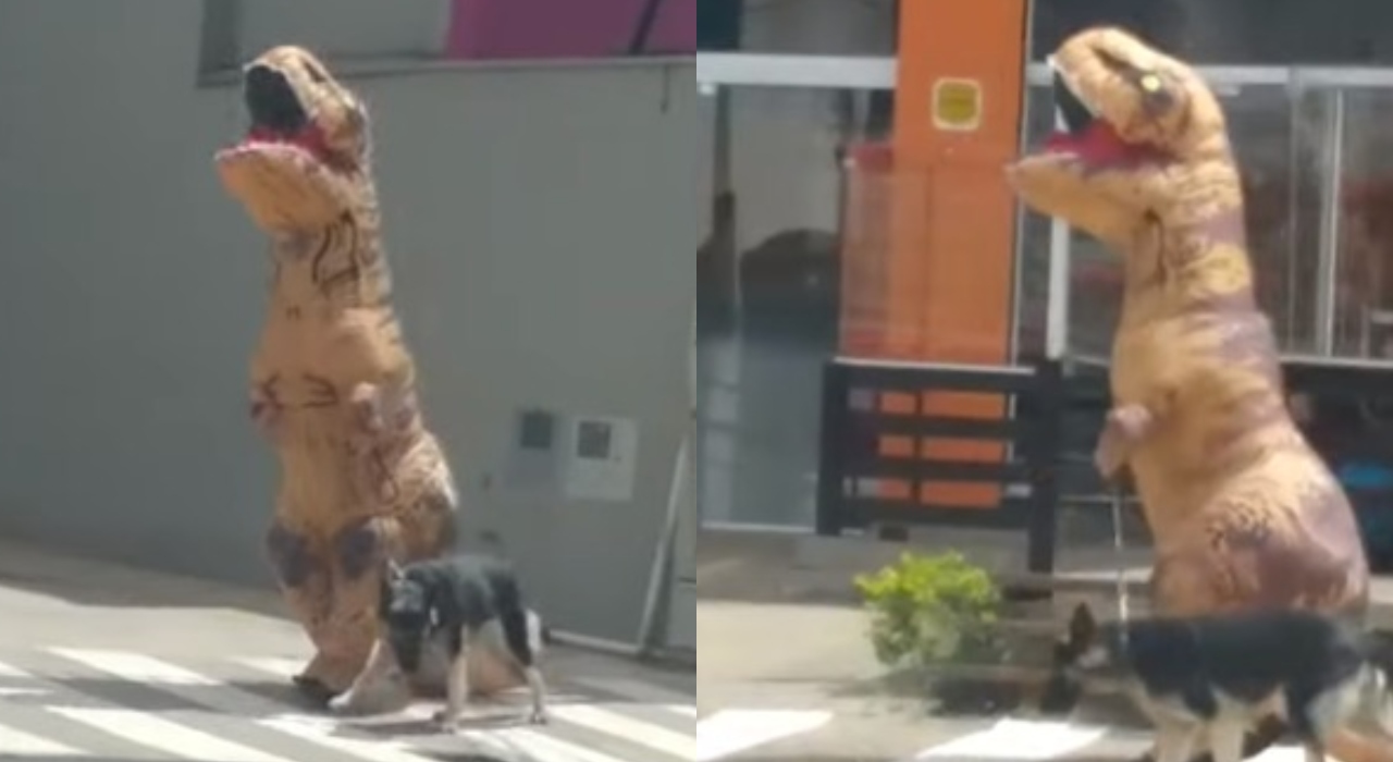 Empresário se fantasia de dinossauro para passear com cachorro nas ruas de São José do Rio Preto