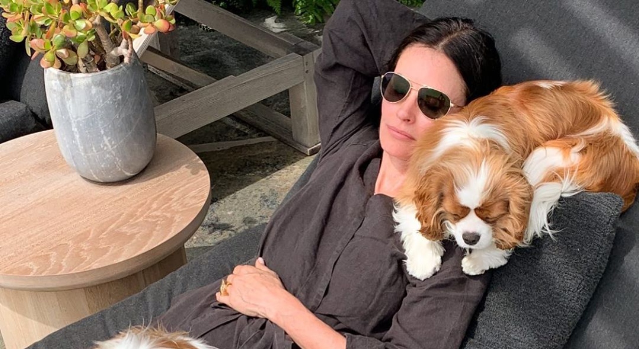 Courteney Cox é vista correndo no meio do trânsito para resgatar cachorros em fuga