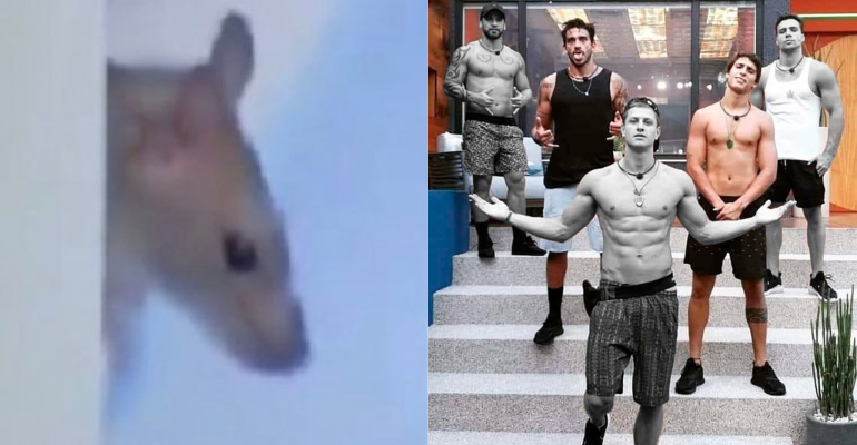 Genilson, o rato do BBB20, já tem mais seguidores que Hadson, Chumbo, Lucas, Victor Hugo e Petrix