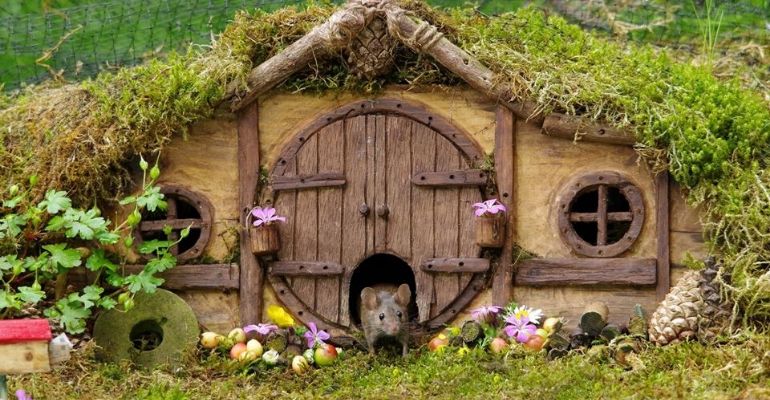 Fotógrafo cria casa para rato que visitava o jardim dele