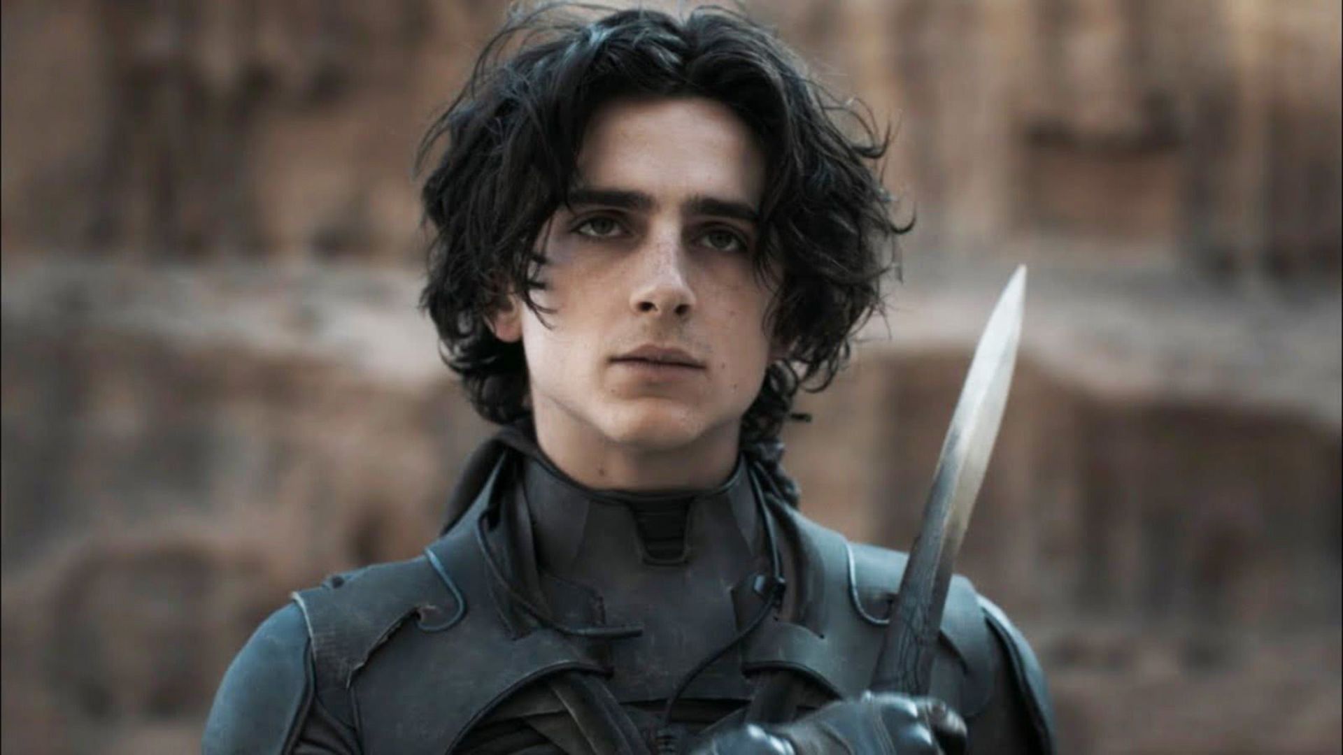 Gravações de “Duna 2” chegam ao fim e Timothée Chalamet comemora em foto; confira