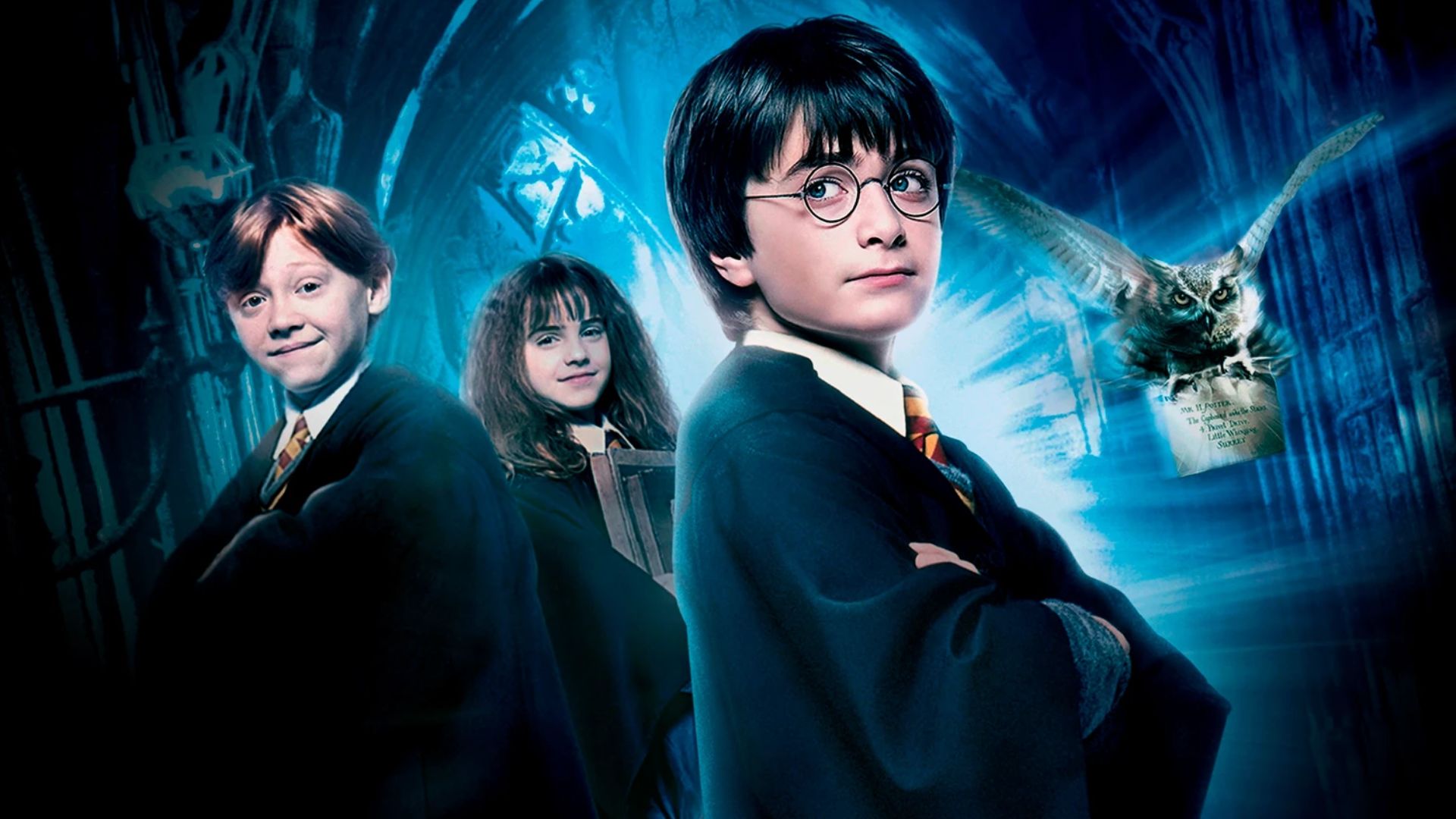 5 histórias que queremos ver na série de “Harry Potter”
