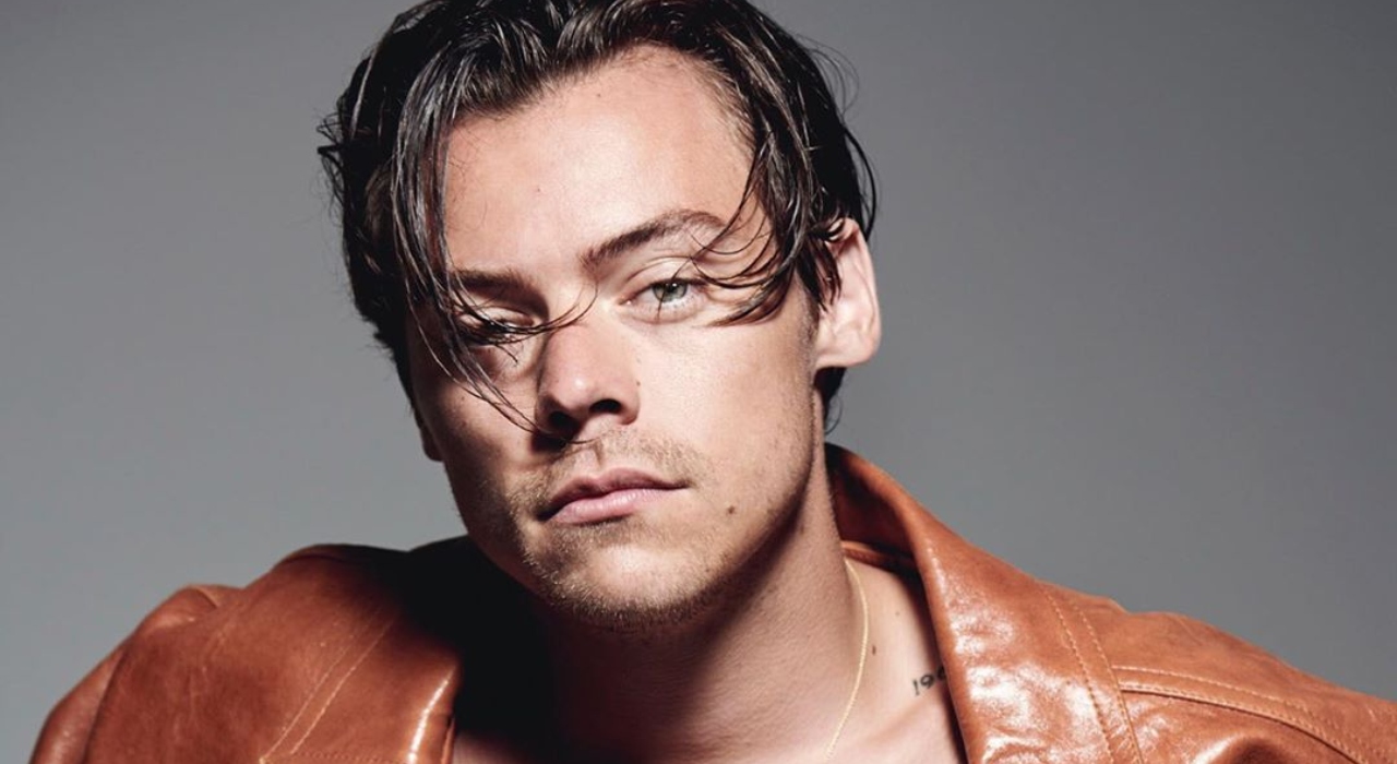 Harry Styles fala sobre sua sexualidade em entrevista