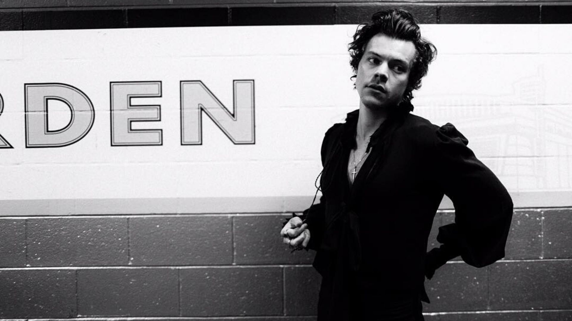 Harry Styles fará shows no Brasil em 2020, diz jornalista