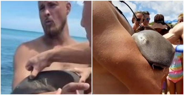 Banhista caminha com tubarão agarrado ao braço após ser atacado em praia; assista ao vídeo