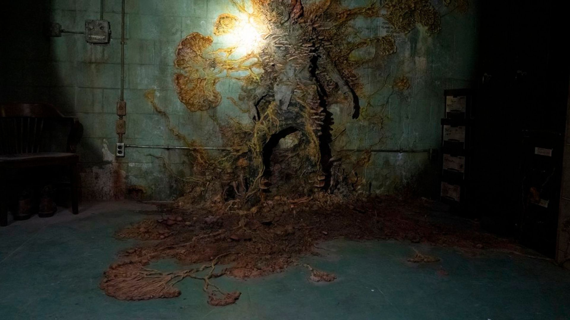 Infecção de “The Last of Us” pode acontecer de verdade?