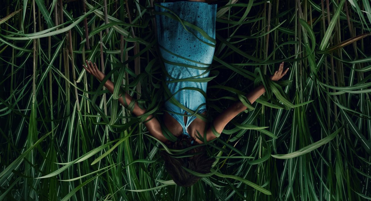 Campo do Medo: Filme baseado em livro de Stephen King chega em outubro à Netflix