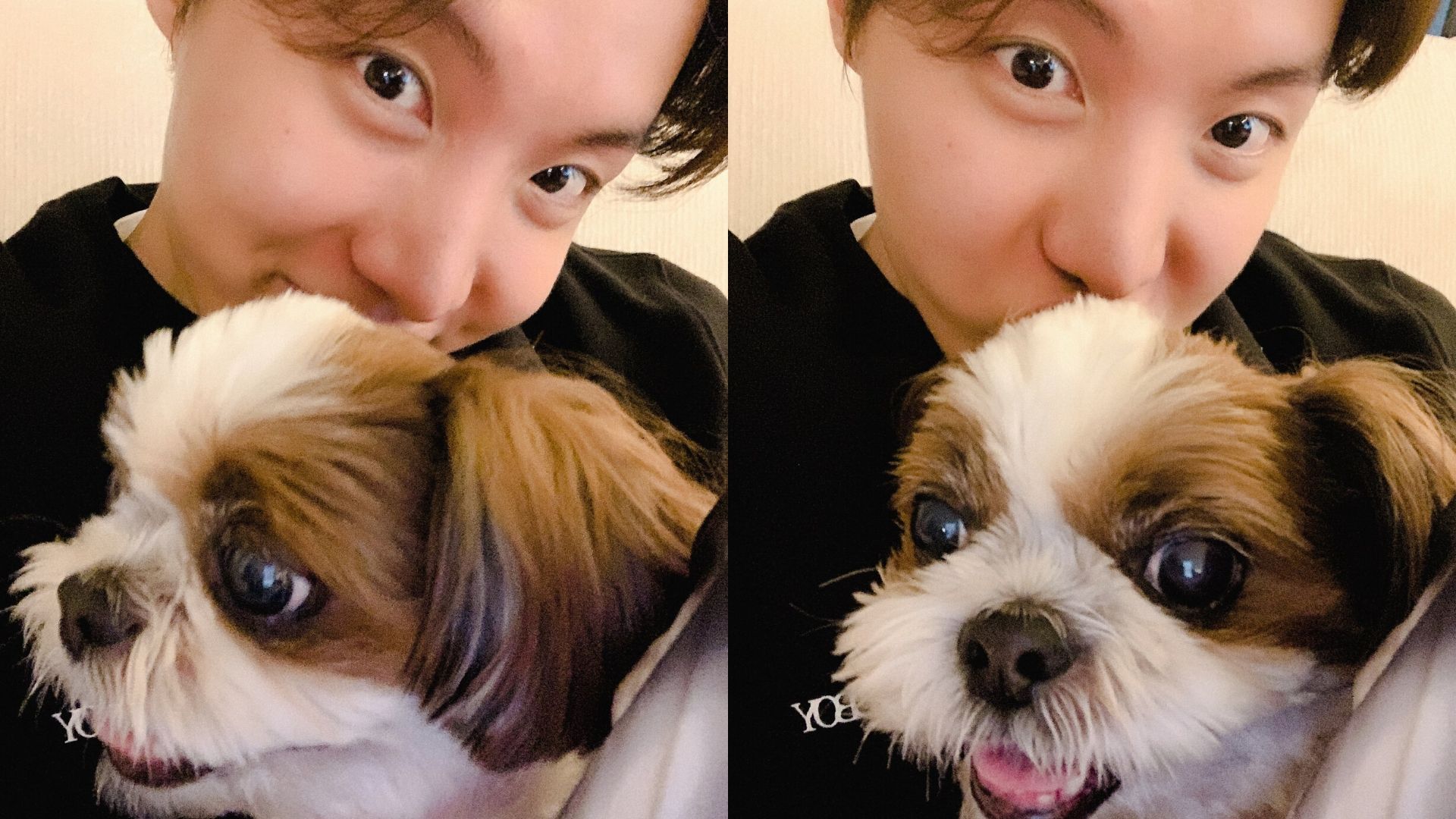 J-Hope, do BTS, posta fotos fofas com cachorrinho de estimação e fãs surtam na internet