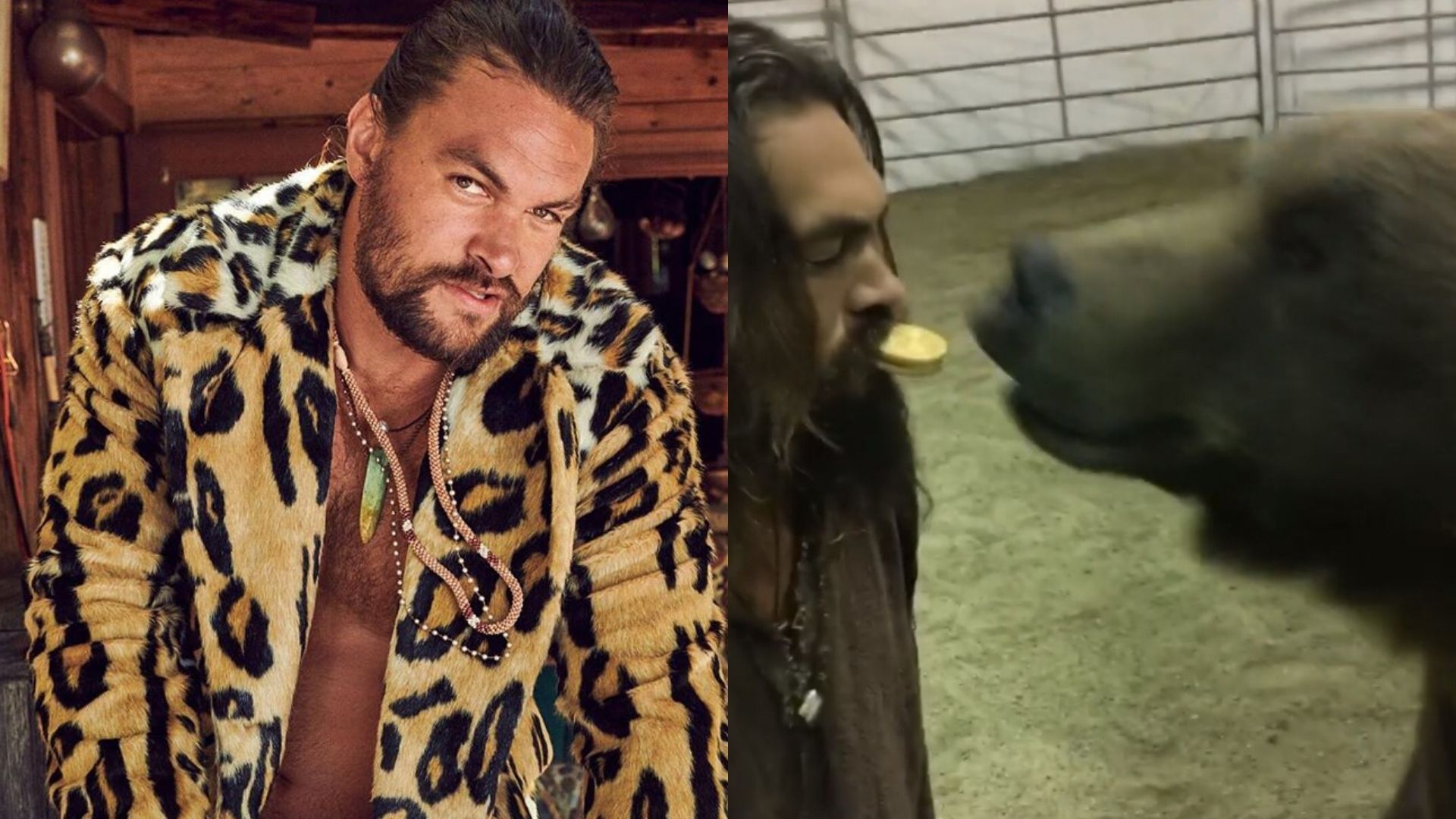 Jason Momoa oferece bolacha em sua boca para urso nos bastidores de See