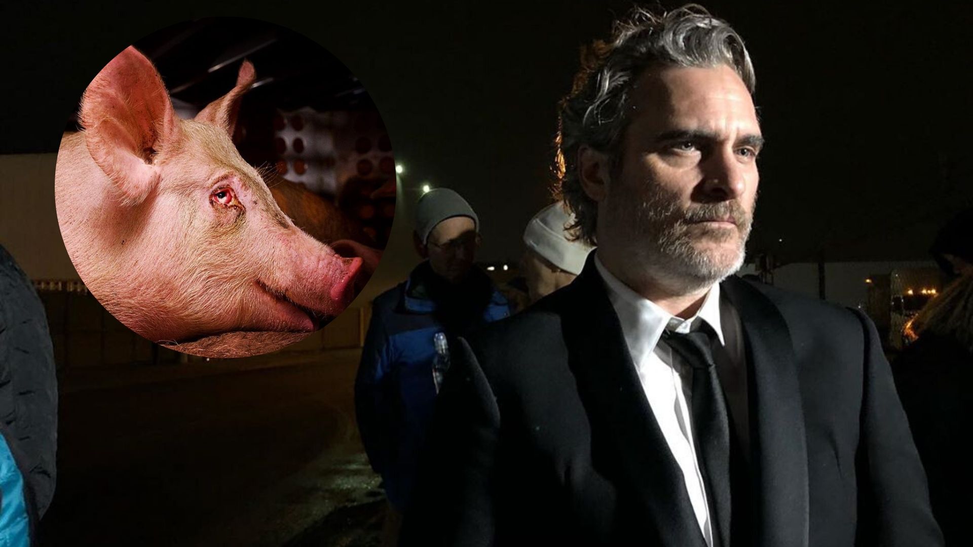 Eleito Melhor Ator, Joaquin Phoenix dispensa festa do SAG Awards para participar de vigília em abatedouro de porcos
