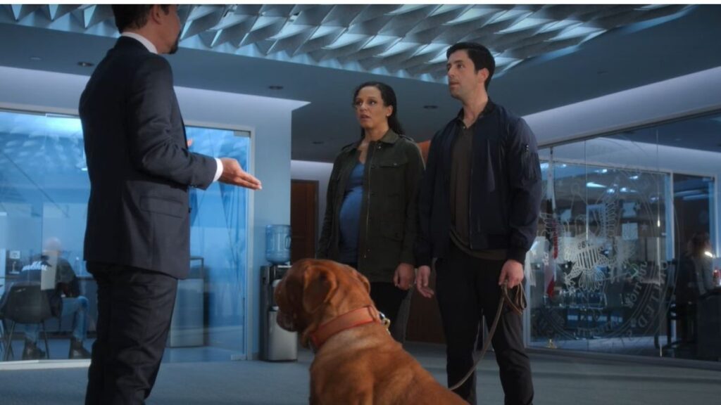 Josh Peck ganha parceiro animal no trailer de “Turner e Hooch”
