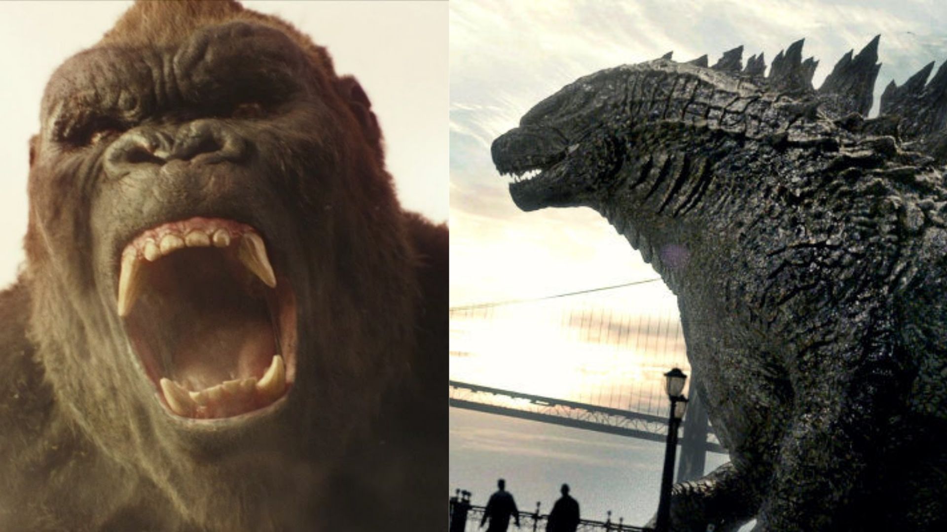 Godzilla vs Kong: Warner adia a estreia do filme em oito meses
