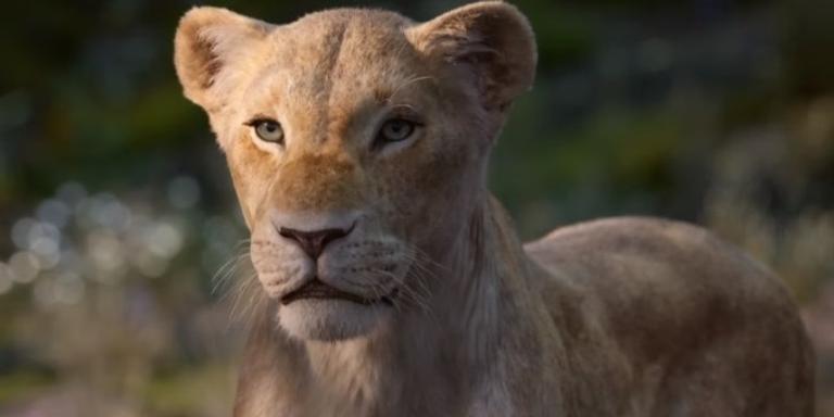 Finalmente! Novo teaser de ‘O Rei Leão’ revela voz de Beyoncé no papel de Nala