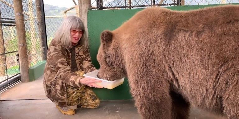 Rita Lee conta como foi conhecer a ursa Rowena, inspiração de seu novo livro; confira