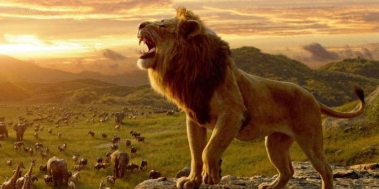 ‘O Rei Leão’ se torna o quarto filme da Disney a arrecadar mais de 1 bilhão de dólares em 2019