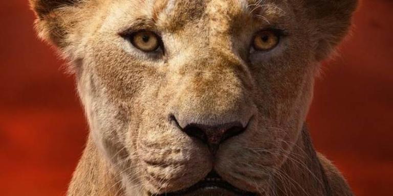 ‘O Rei Leão’: mãe de Simba deveria ser a protagonista do filme, dizem pesquisadores
