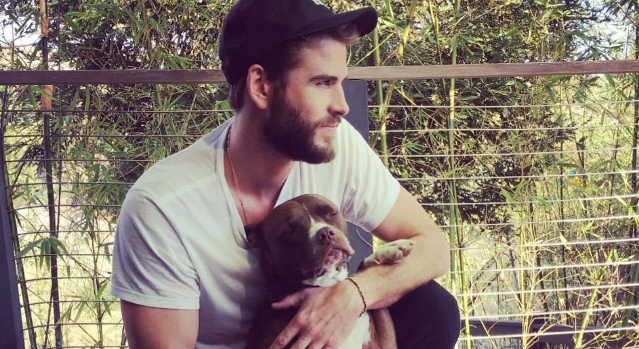 Após divórcio, Liam Hemsworth é visto em clima de romance com atriz