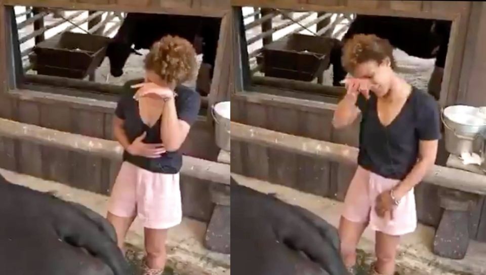 “A Fazenda 12”: Vegana, Lidi Lisboa chora muito enquanto tira leite da vaca
