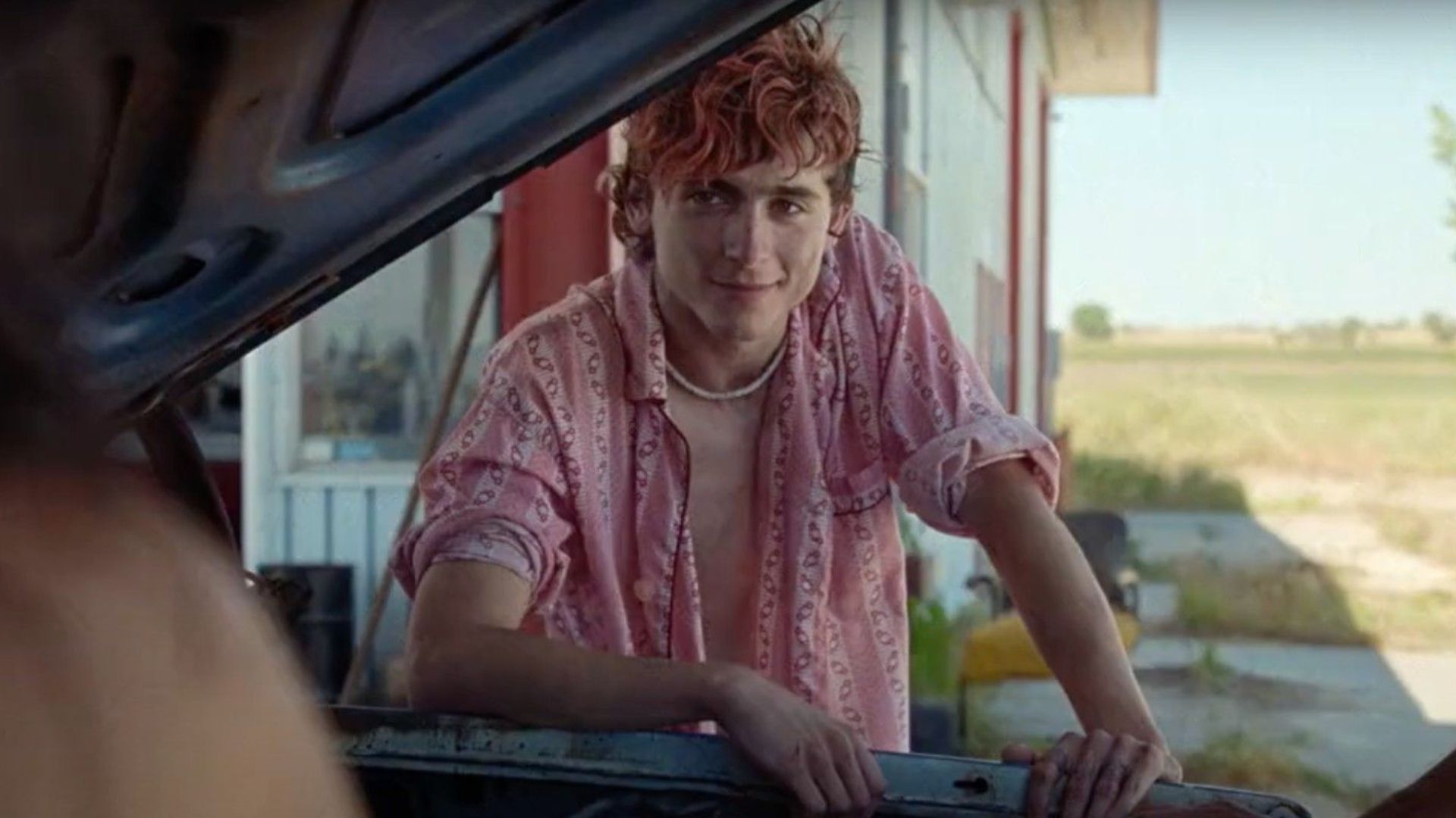Luca Guadagnino nega que seu filme sobre canibalismo tenha ligação com o escândalo de Armie Hammer