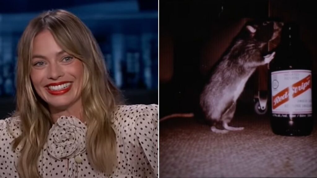 O que aconteceu ao rato dado a Margot Robbie por Jared Leto?