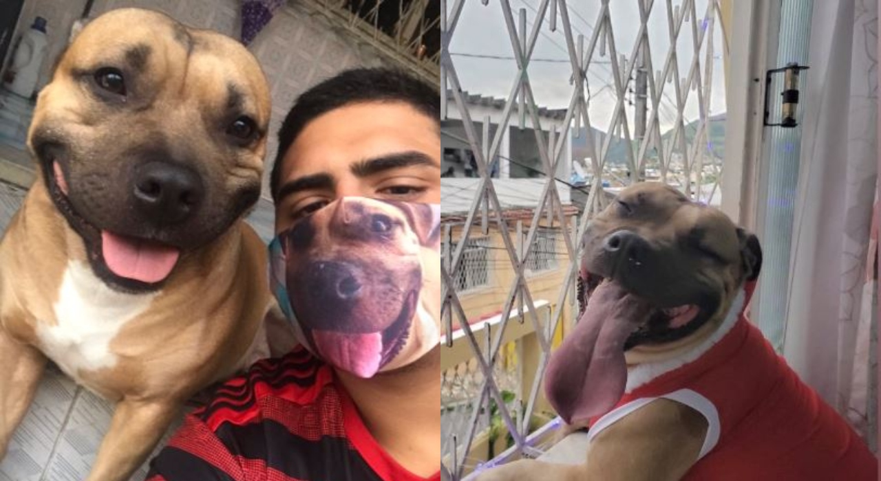 Homem personaliza máscara com foto de seu cachorro; confira