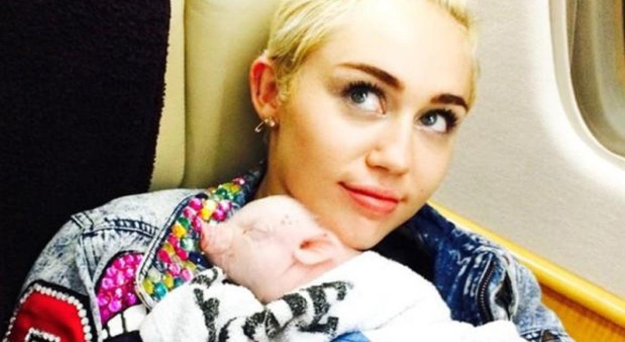 Miley Cyrus fica com todos os animais do casal após separação de Liam Hemsworth