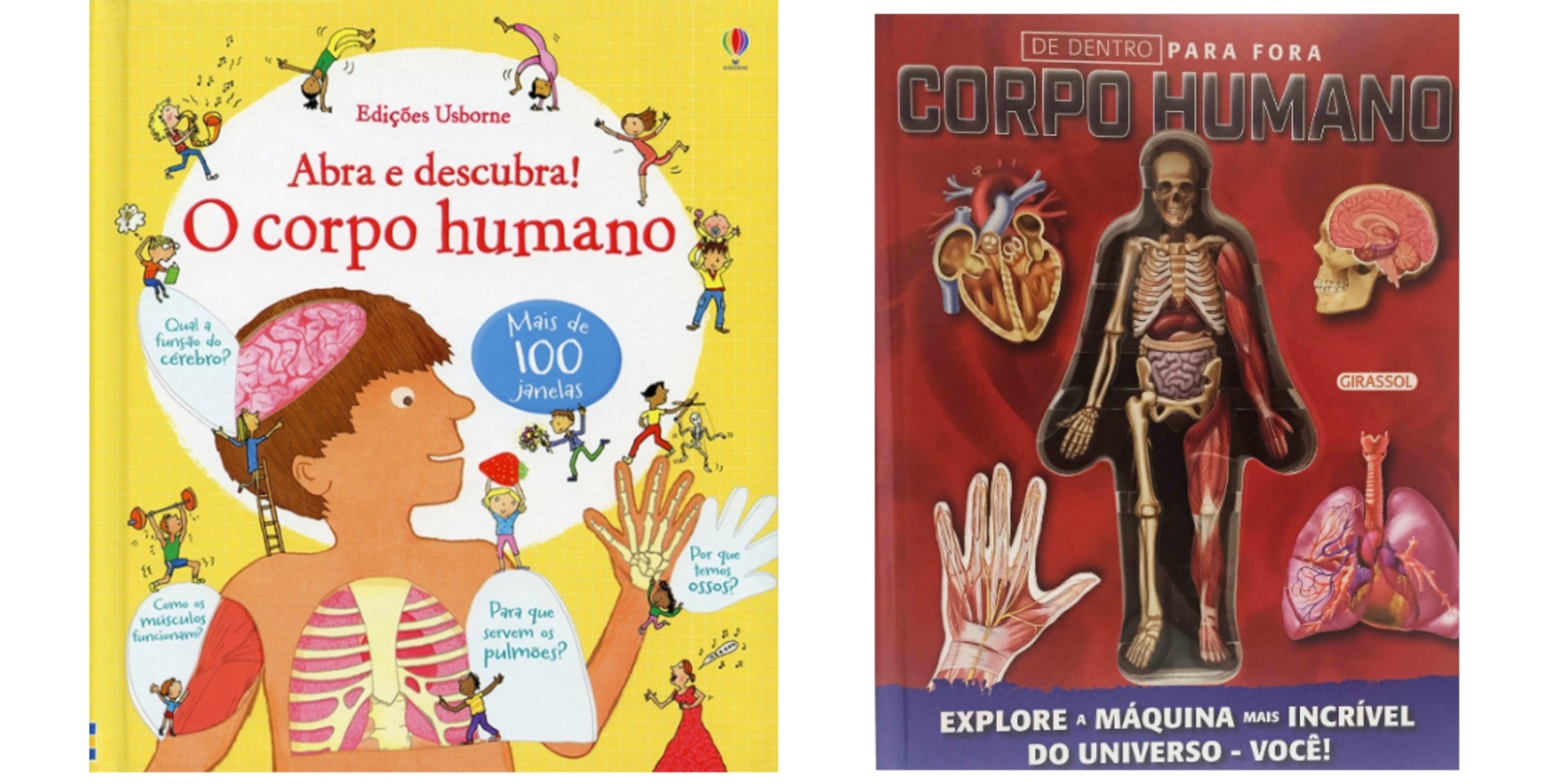 7 curiosidades sobre o corpo humano que você nem imaginava