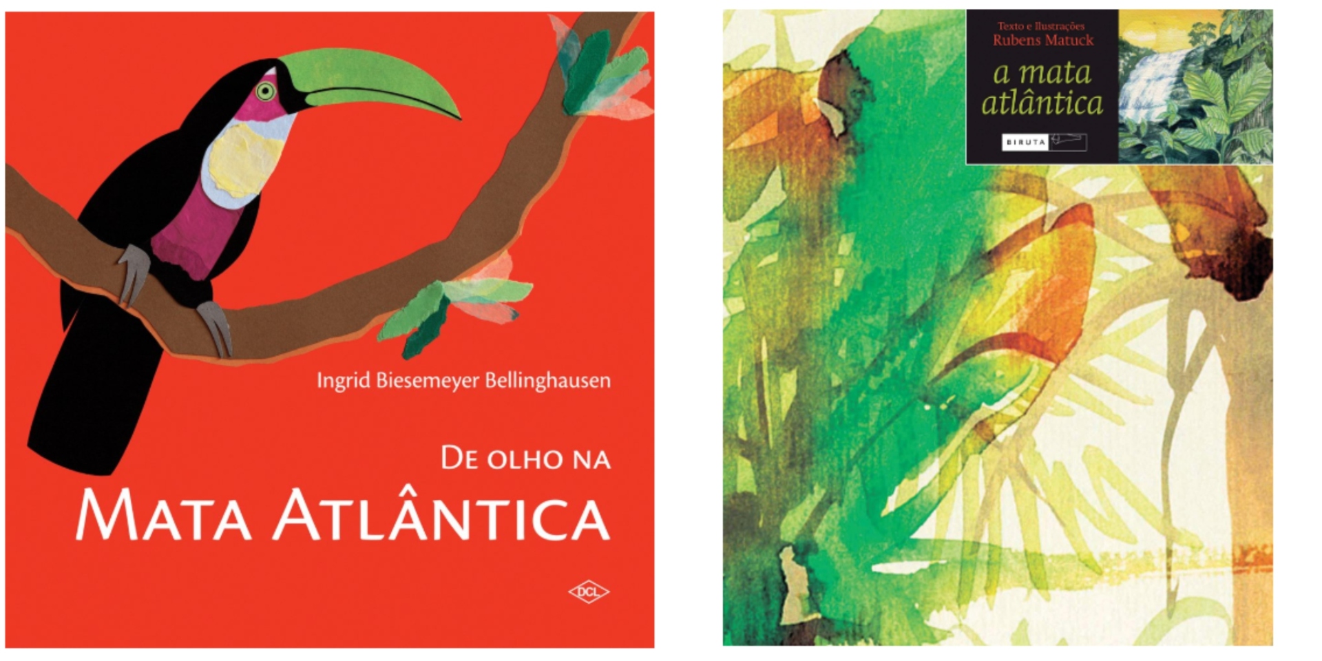 Mata Atlântica: a importância do ecossistema em 6 livros